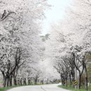 경성유통 - 62107 | 경성유통