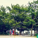 평해시장 이미지