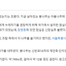 잠실리뽕나무 이미지