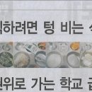식판나라