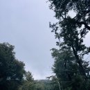 (주)캐슬렉스서울 캐슬렉스골프클럽 | 한국경영관리협회, 캐슬렉스 이성대 골프연습장