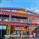금오카 | 금오랜드 티니핑 대관람차 및 놀이 기구 종류