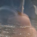 타이아시아마트 | [푸켓 여행] 푸켓 공항 출국 &amp; 인천 공항 입국 후기