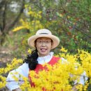 실바람 이미지