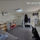 대치하이브학사