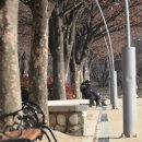 동대구로 이미지