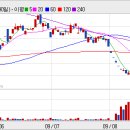 2009.08.13 써니트렌드(035500) 하한가 분석자료 이미지