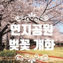 돈지봉공원 이미지