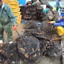 태화물산 이미지