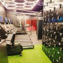 웰빙스포렉스 이미지