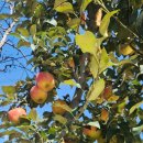 옥이농장 이미지