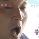 초량애견 이미지