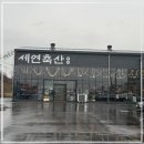 일품축산