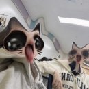 새 | 새학기후기 ~ * • *