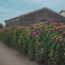 안성리-5 이미지