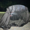 금일읍-2 이미지