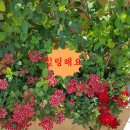 선스케이프