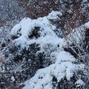 송병연 | 고흥 무송대(撫松臺)