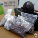플레이팩토리