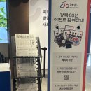 인강파크 | [2025 LCK R4 경기 T1 vs HLE 롤파크 직관 후기]
