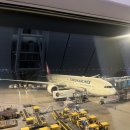 중동091 | [터키항공] 서울 인천-이스탄불-상파울루 후기 및 기내식