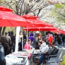 겸재작은도서관 산책로 이미지