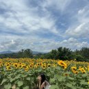 콩이네 이발소 이미지