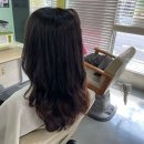 헤어자름 이미지