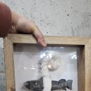 나무로 배우는 목공 교실 이미지