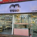 멍발머리 이미지