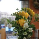 P-5704 | [오늘의 꽃-19-02]