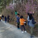 김밥학교 이미지
