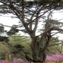 부산진구 전포 청소년센터 | 210, 아홉산 353m-부산 기장