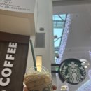 더블린의원 | 아일랜드 워홀) 더블린 구직 과정 및 후기 스타벅스 VS 방문 요양 보호 Be Independent, 카페 Velvet