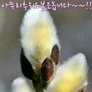 다님 이미지