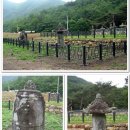 ＜미리보기＞자연이 만든 바다 위의 비밀정원 ㅡ 6. 인연의 끈 이어간 능가사 부도 이미지