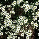 운정초등학교 이미지