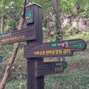 팔룡동400 이미지