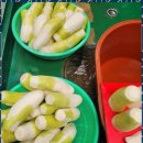 수원-0498 이미지