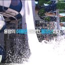 용평리조트 주중 주말 객실예약, 피크아일랜드,케이블카,루지(2020년9,10월) 이미지