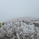 12. 태백산(함백산) [운무] 이미지