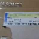 플러스펫 | 130502　플러스펫 후기