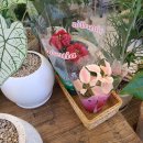 용연동길 이미지