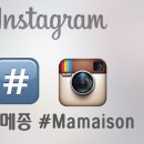 백현동 455-1 | 2017년맞이 마메종 1월 새해 이벤트 공유