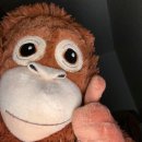 [8월 재능나눔] 함께 쓰는 그림일기 | 우왕 벌써 12월 🎄