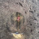 갓골농장 이미지