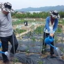 학전농장 이미지