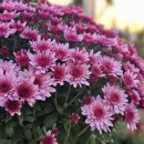 진주종합경기장 테니스장 이미지