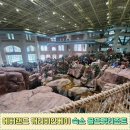 캐리비안리조트 | 에버랜드부터 캐리비안베이 근처 숙소 골드펫리조트 후기까지