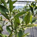 몽송농장2 이미지